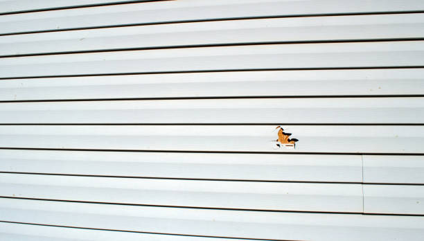 Best Wood Siding Installation  in Fair Oaks, VA